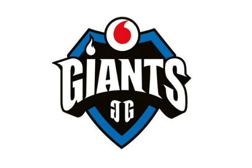 Vodafone Giants