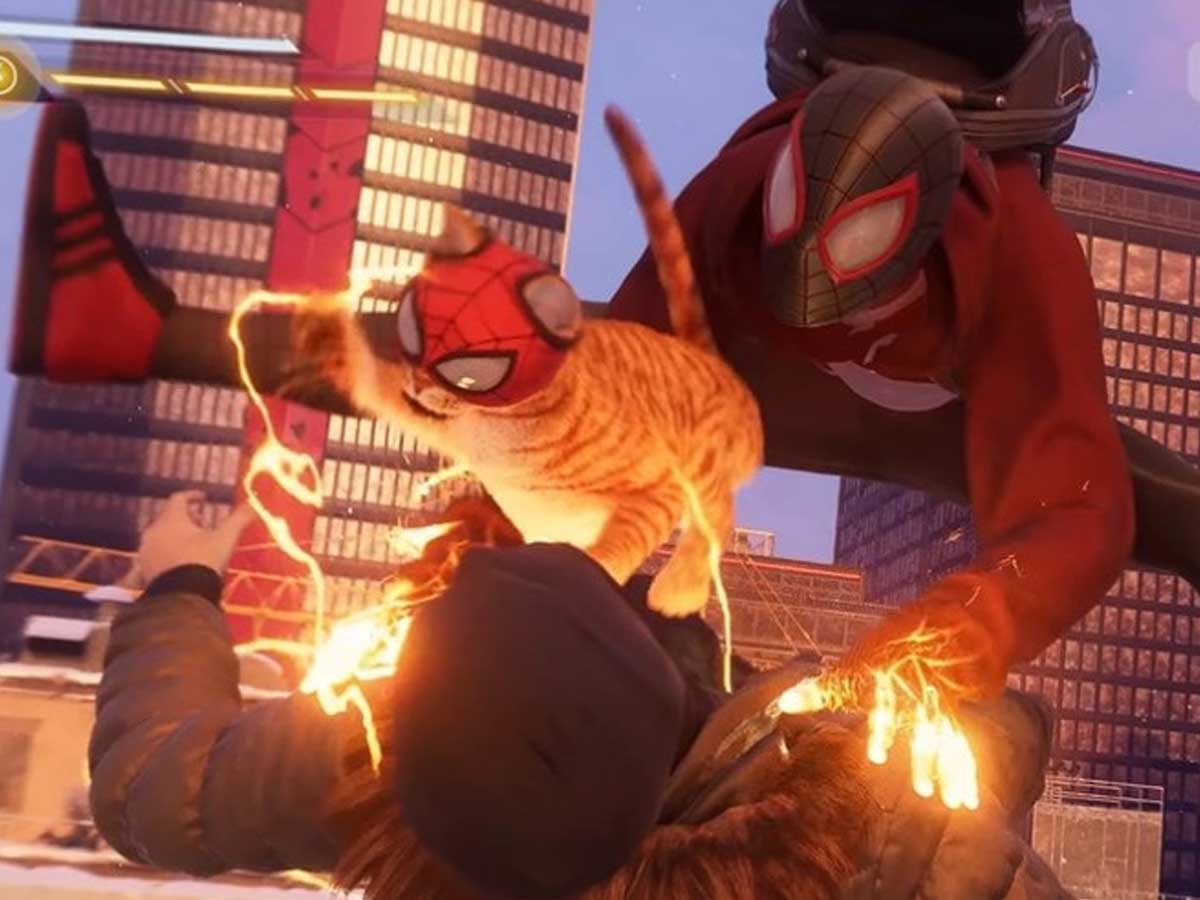 Spider-Man el gato, el compañero de Miles Morales que causa revuelo